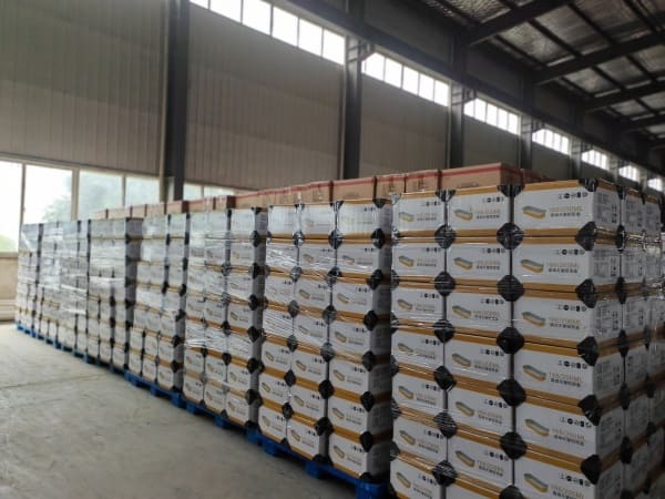 About us 19 warehouse2
